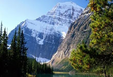 达拉斯独行侠训练开放日，国际比赛日临场应变引欢呼，NBA季后赛在即，细节决定成败的简单介绍-开元官网体育